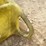 #3464-•-enpac-polly-dolly-image-11