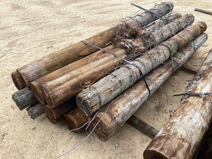 #3612-•-bundle-of-used-round-posts-image-4