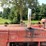 #300-•-1951-farmall-m-tractor-image-13