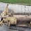 new-holland-900-image-40