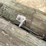 #3616-•-bundle-of-used-round-posts-image-10