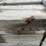 #3635-•-bundle-of-used-guard-rail-posts-image-10
