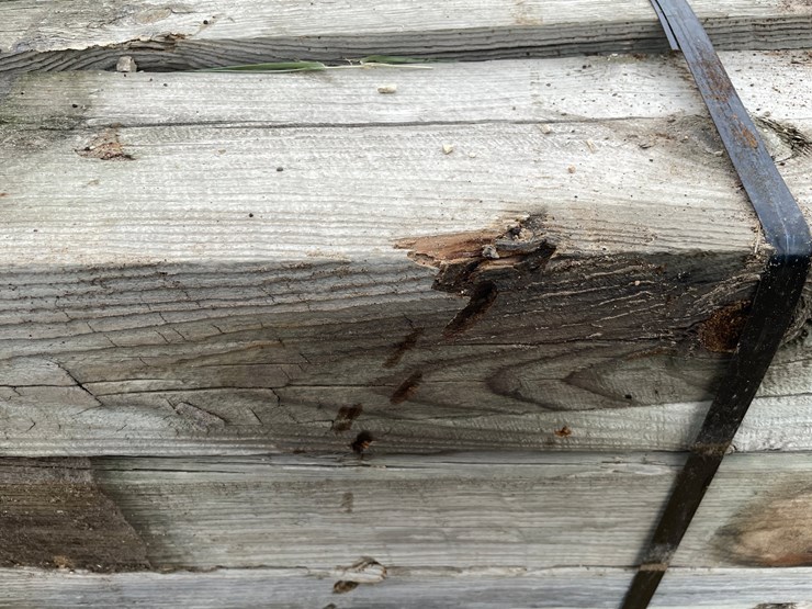 #3635-•-bundle-of-used-guard-rail-posts-image-10