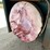 #103-•-1998-trailet-2-horse-trailer-with-overnight-package-(has-wi-title)-image-39