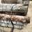 #3613-•-bundle-of-used-round-posts-image-6