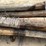 #3617-•-bundle-of-used-round-posts-image-7