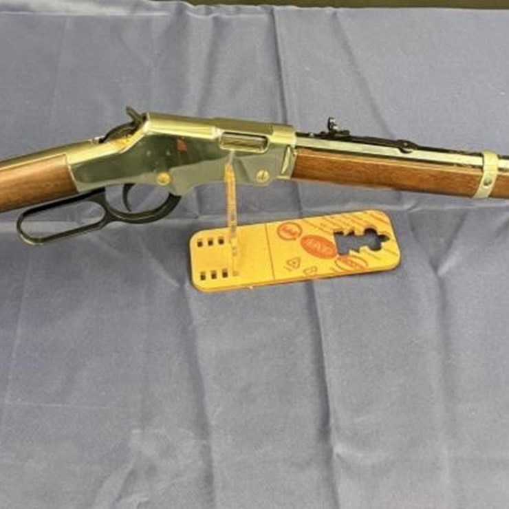 GS - Golden Henry Boy 22 Magnum
