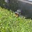 sure-trac-8’-truck-flatbed-image-8