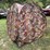 #5721-•-ground-blind-image-2