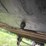 2000-utility-van-image-9