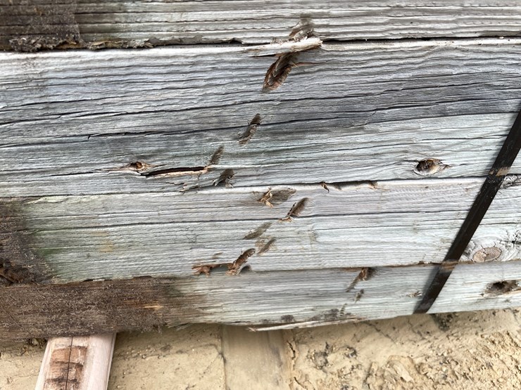 #3635-•-bundle-of-used-guard-rail-posts-image-13
