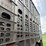 2016-wilson-livestock-trailer-image-17