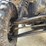 2010-polaris-ranger-800-crew-image-59