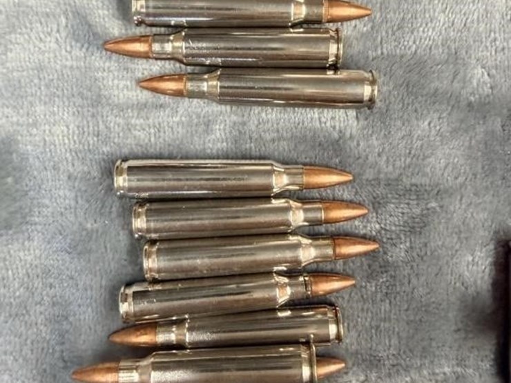 closet--.223-ammo-image-4