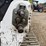 2019-bobcat-t770-image-11