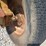 vermeer-107-image-22