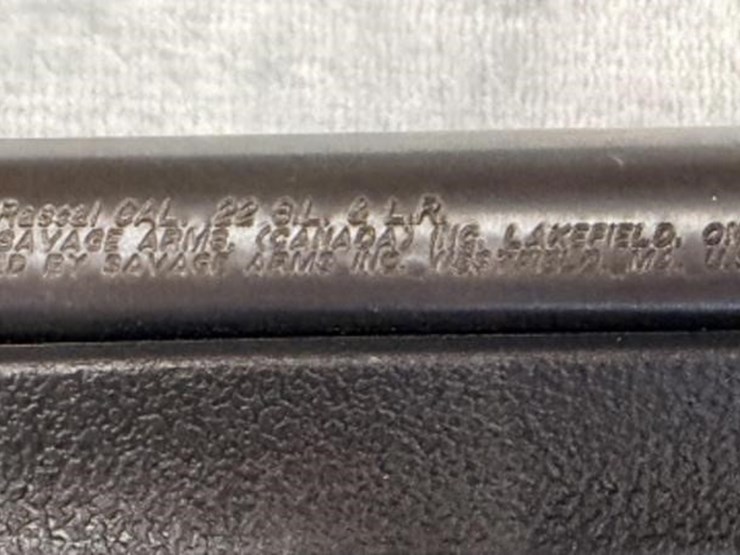 gs---savage-arms-savage-rascal-image-2