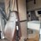 2020-peterbilt-567-image-23