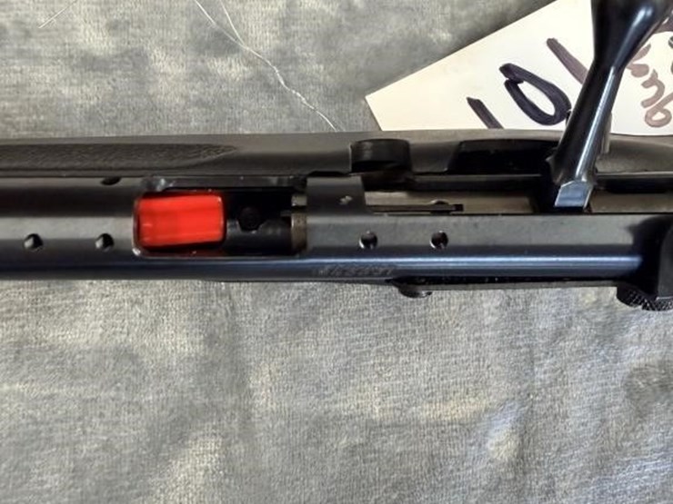 gs---savage-arms-savage-rascal-image-5