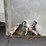 1997-fruehauf-trailer-image-62