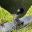 #124-•-pallet-fork-frame-image-4