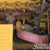 2019-caterpillar-336-image-55