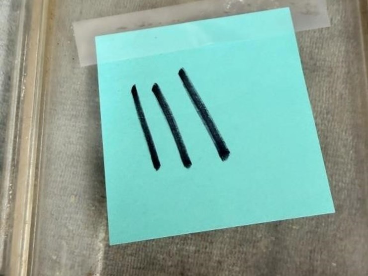 closet--9mm-ammo-image-7