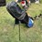 #5717-•-dunlop-ddh-xcel-golf-bag-with-clubs-image-3