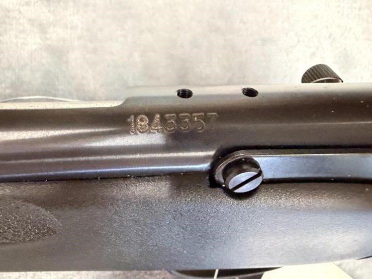gs---savage-arms-savage-rascal-image-3