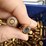 closet--.380-ammo-image-3