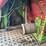 #101-•-duetz-dx110-tractor-image-47