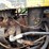 #1218-•-atc-25-terratrac-atc-25-bulldozer-image-43