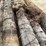 #3612-•-bundle-of-used-round-posts-image-10