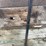 #3637-•-bundle-of-used-guard-rail-posts-image-10