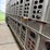 2010-wilson-livestock-image-30