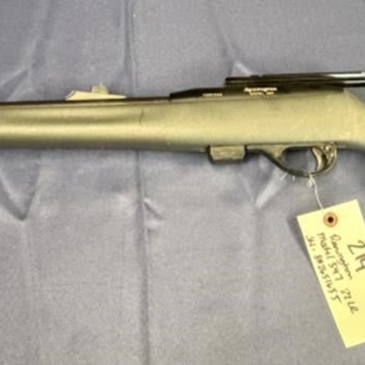 GS - Remington Model 597 .22LR