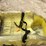 #3464-•-enpac-polly-dolly-image-7