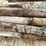 #3618-•-bundle-of-used-round-posts-image-7