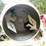 #5730-•-tool-shop-cement-mixer-image-11