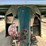 #103-•-1998-trailet-2-horse-trailer-with-overnight-package-(has-wi-title)-image-41