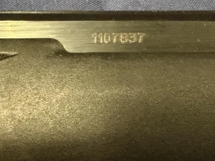gs---savage-model-64-.22lr-image-4