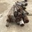 #3614-•-bundle-of-used-round-posts-image-9