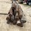 #3614-•-bundle-of-used-round-posts-image-5