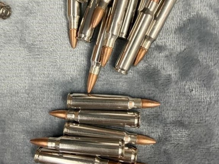 closet--.223-ammo-image-3