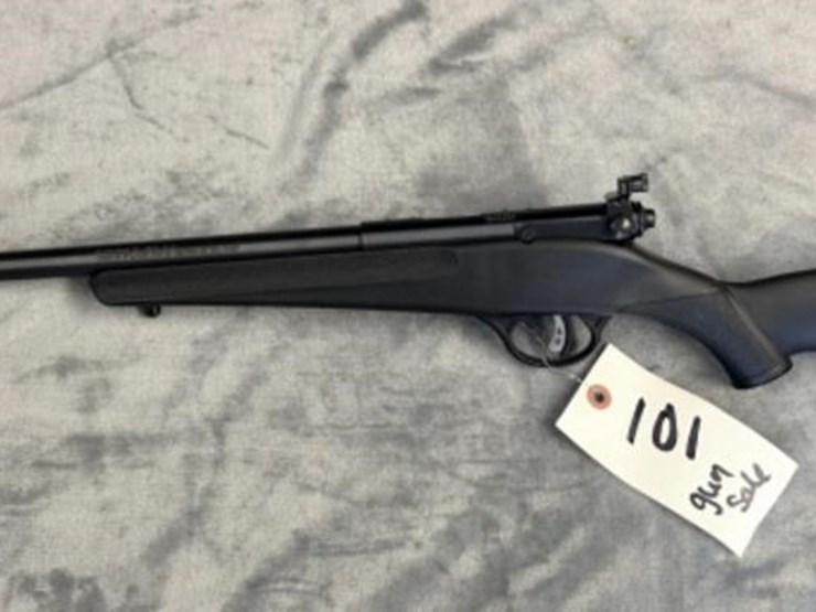 gs---savage-arms-savage-rascal-image-1
