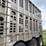 2010-wilson-livestock-image-11