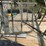 #5711-•-tree-stand-image-9