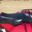 #1227-•-polaris-250-atv-(sells-with-bill-of-sale-only)-image-26