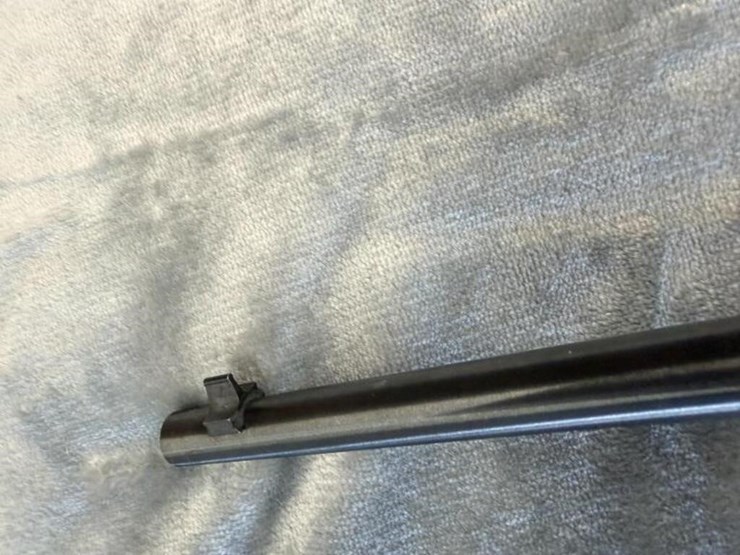 gs---savage-arms-savage-rascal-image-7
