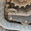 2023-bobcat-t650-image-20